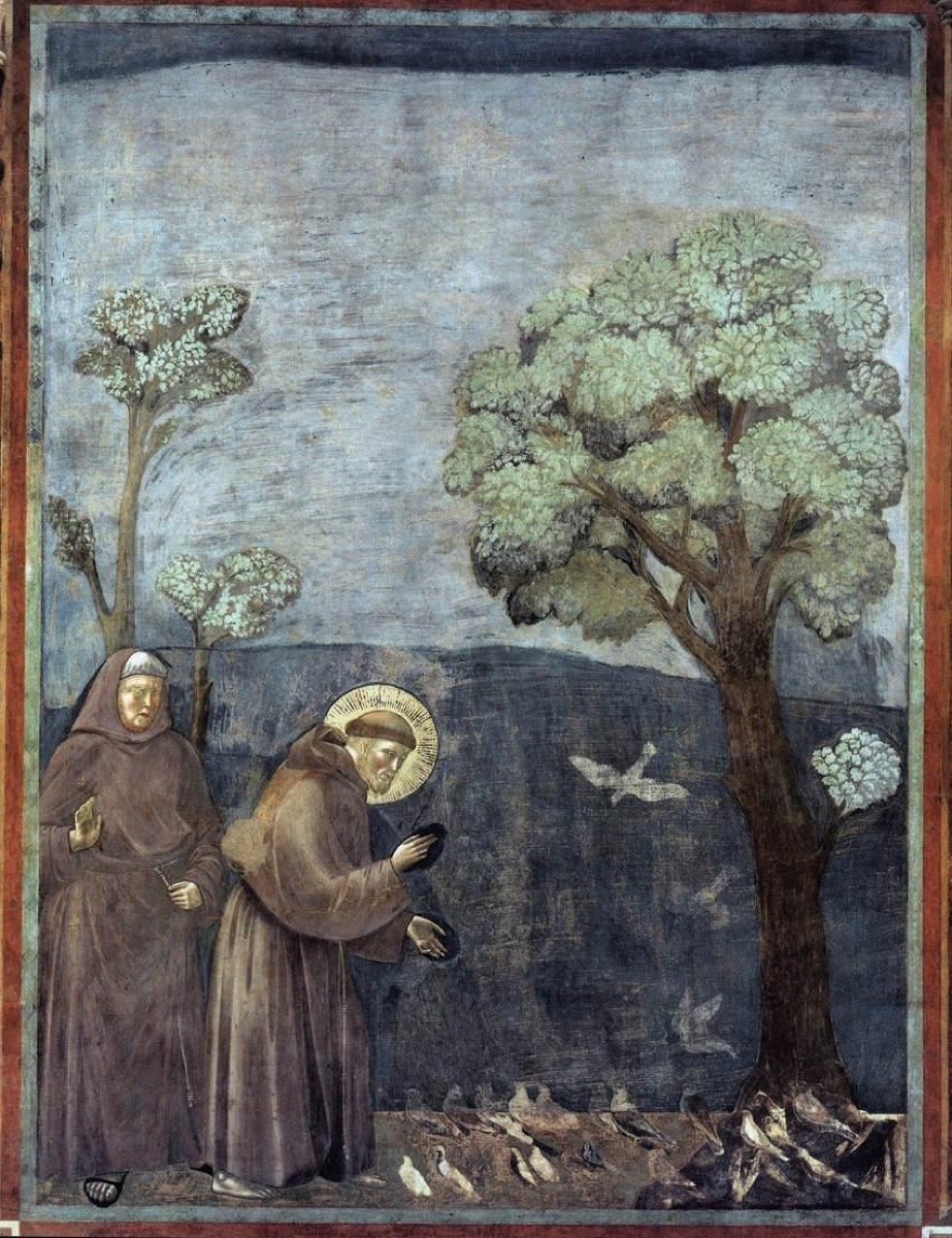 St. Francis bends toward a flock of birds gathered on the ground under a tree.